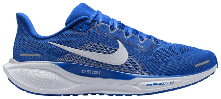 Nike Air Zoom Pegasus 41 Kentucky