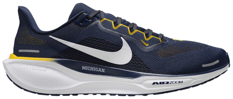 Air Zoom Pegasus 41 Michigan