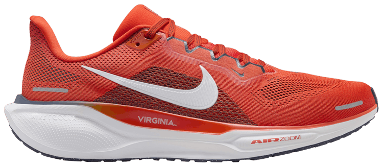 Nike Air Zoom Pegasus 41 Virginia