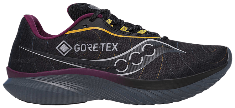 Saucony Kinvara 15 GORE TEX Black Shadow