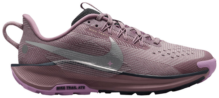 Buy Pegasus Trail 5 GS 'Plum Dust' - FV5638 500 | GOAT