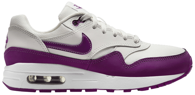 Nike Air Max 1 GS White Viotech