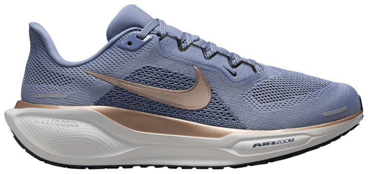 Nike Wmns Air Zoom Pegasus 41 Extra Wide Ashen Slate Metallic Red Bronze