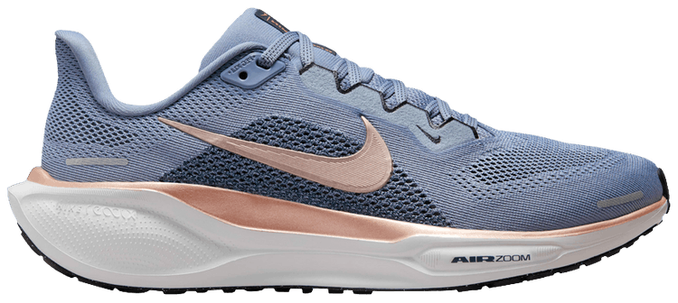 Nike Wmns Air Zoom Pegasus 41 Ashen Slate Metallic Red Bronze
