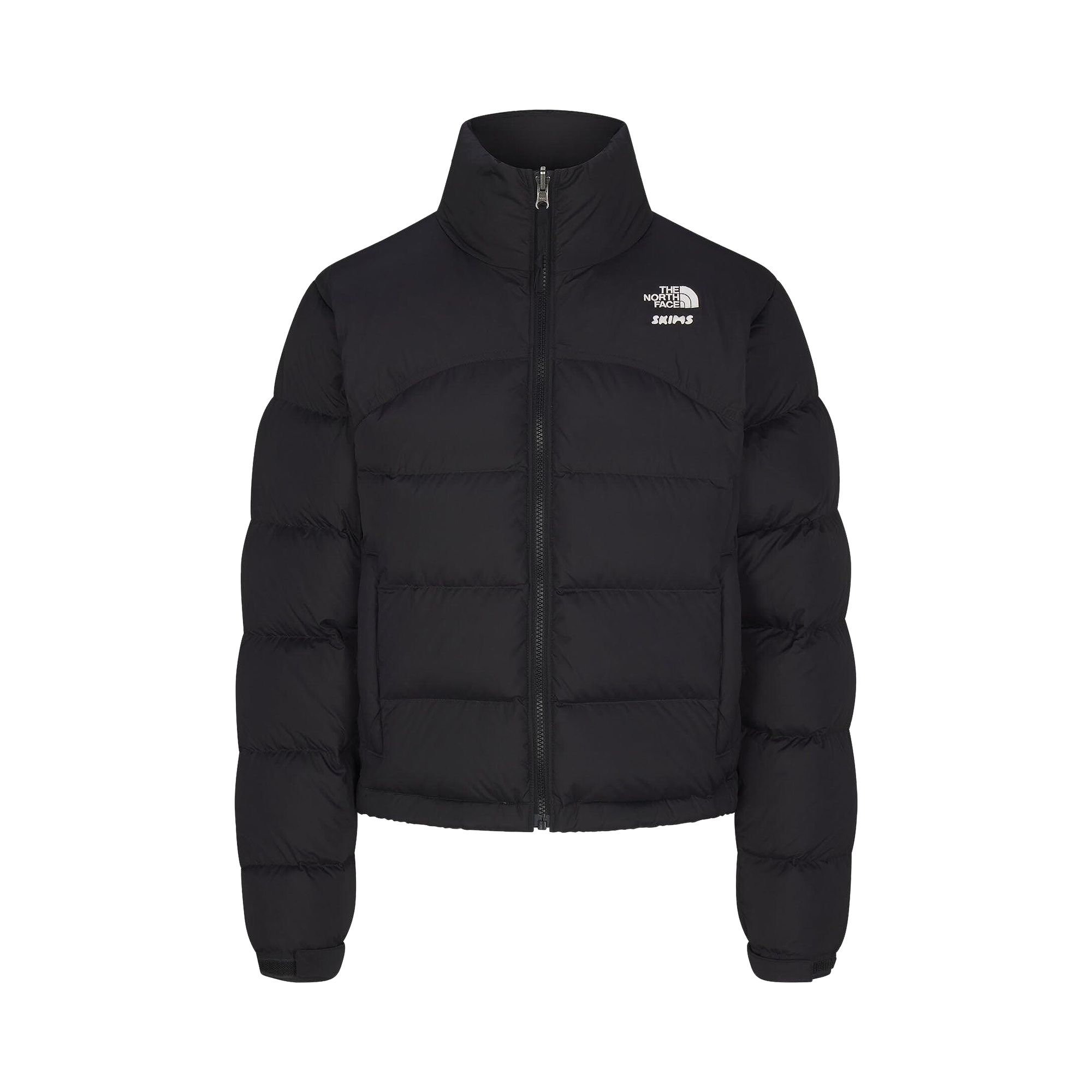 Pre-owned The North Face X Skims Retro 2000 Nupse Jacket 'onyx' | Black | Women's Size Xxl