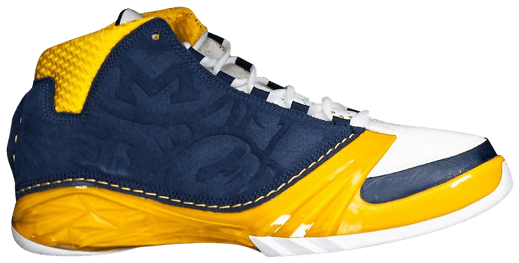 Air Jordan 23 Retro Promo Michigan Wolverines PE