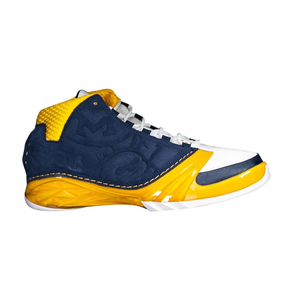 Air Jordan 23 Retro Promo 'Michigan Wolverines' PE | Blue | Men's Size 9.5 - FV1334-400