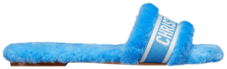 Dior Wmns Chez Moi Slide Dynamic Blue