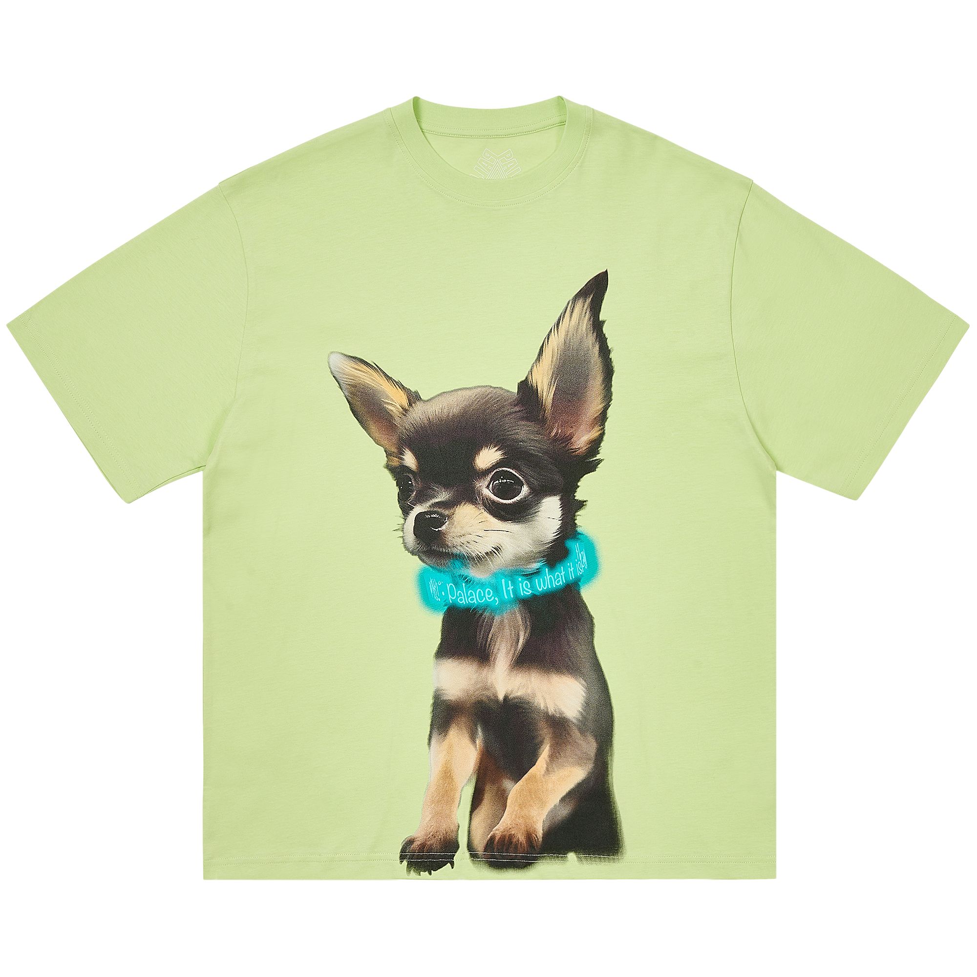 Pre-owned Palace Yappy T-shirt 'mojito' | Green | Men's Size M