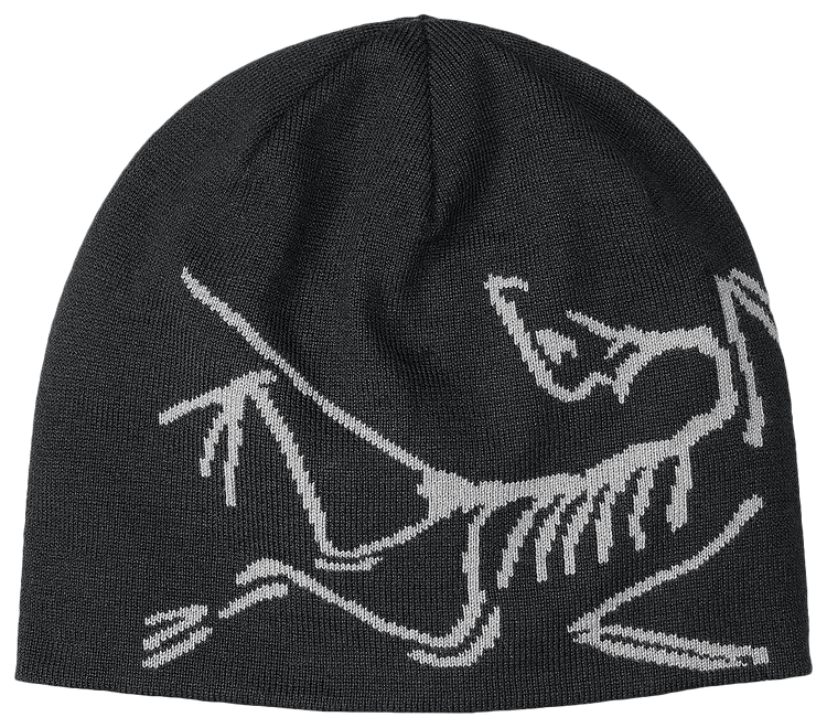 Buy Arcteryx Hats | GOAT