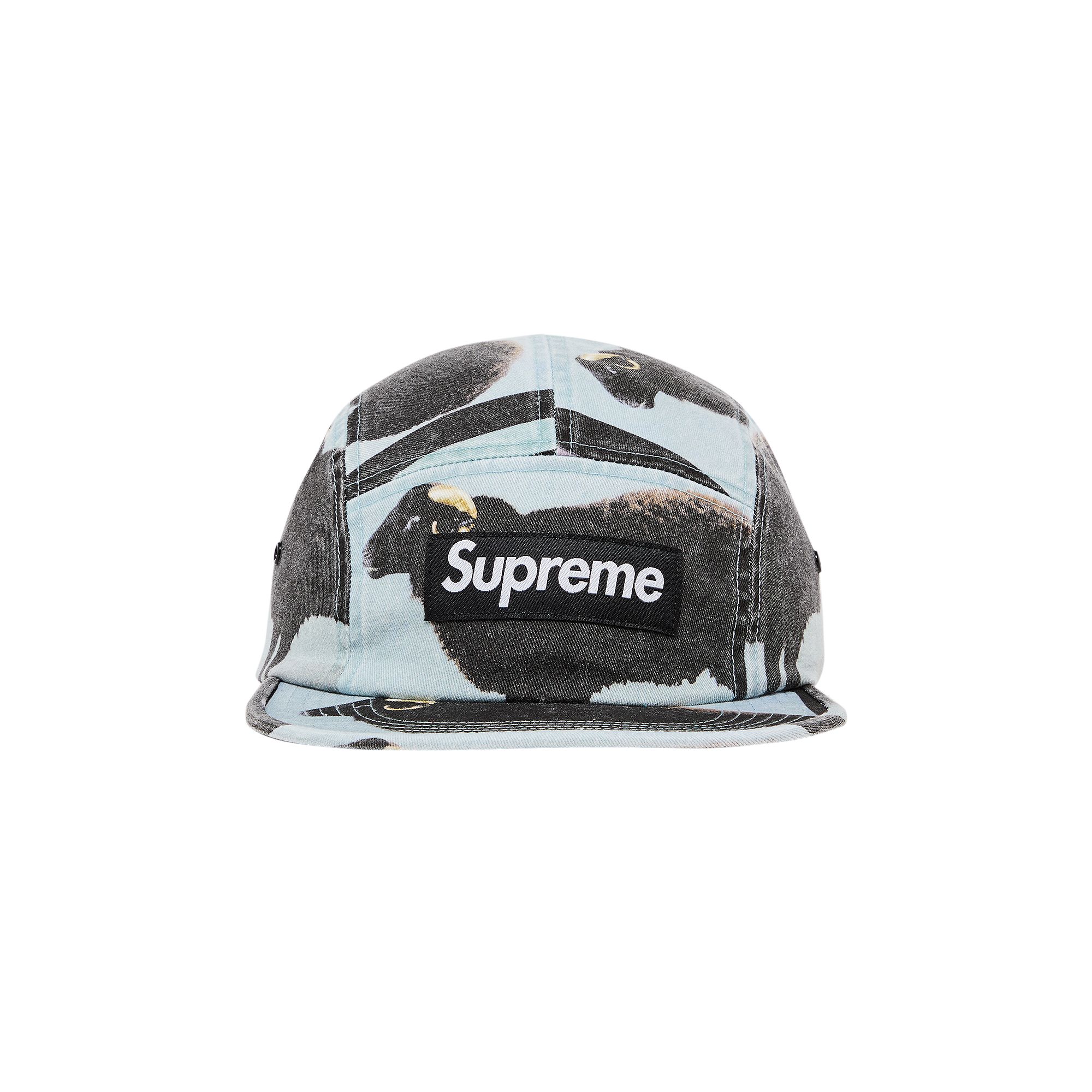 Pre-owned Supreme X Damien Hirst Camp Cap 'black' | Men's Size Onesize