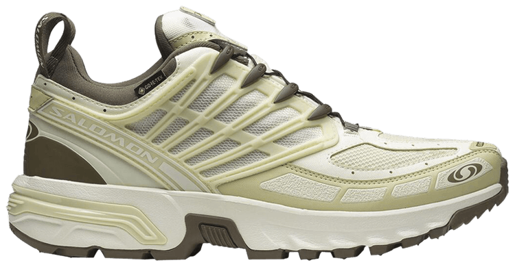 Buy Salomon ACS Pro GORE-TEX 'Vanilla Ice Green Haze' - L47736200