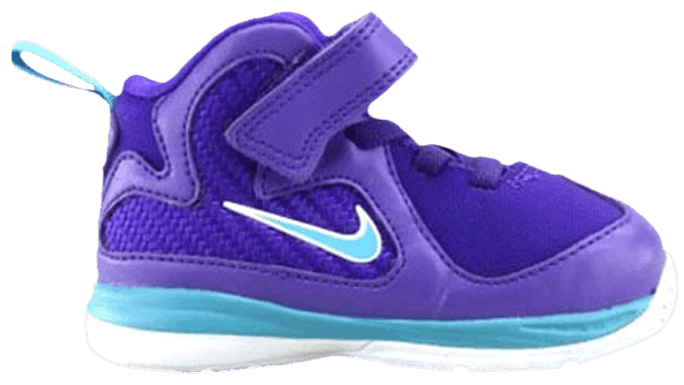Nike LeBron 9 TD Summit Lake Hornets