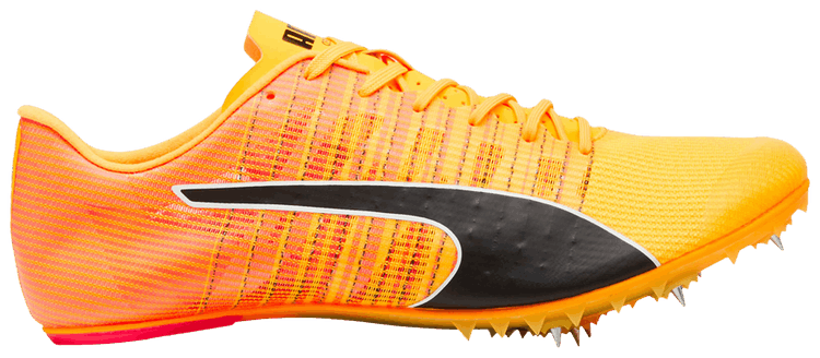 Puma evoSpeed Future 6 Sun Stream