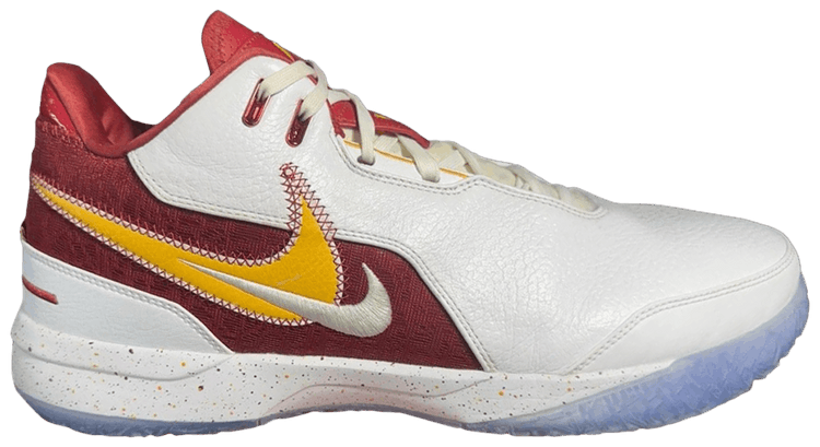 Nike Zoom LeBron NXXT Gen AMPD USC Home PE