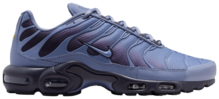 Nike Air Max Plus World Indigo