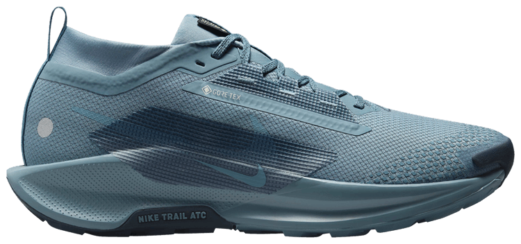 Nike Pegasus Trail 5 GORE TEX Smokey Blue