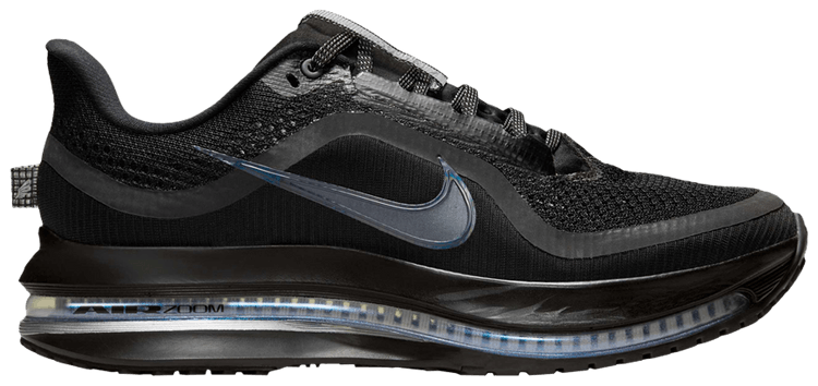Nike Wmns Pegasus Premium Black Metallic Silver
