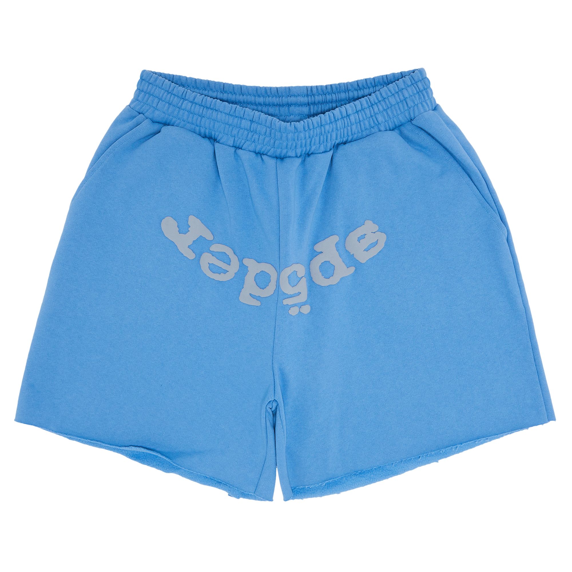 Pre-owned Sp5der Og Web V2 Sweatshort 'dusty Blue' | Men's Size L