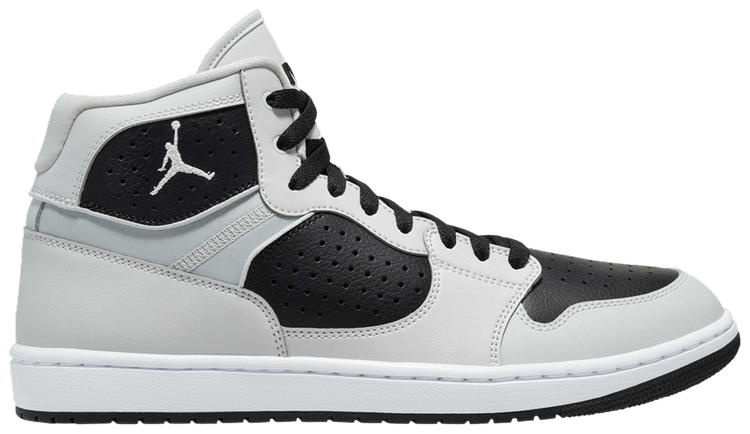 Air Jordan Access Photon Dust Black
