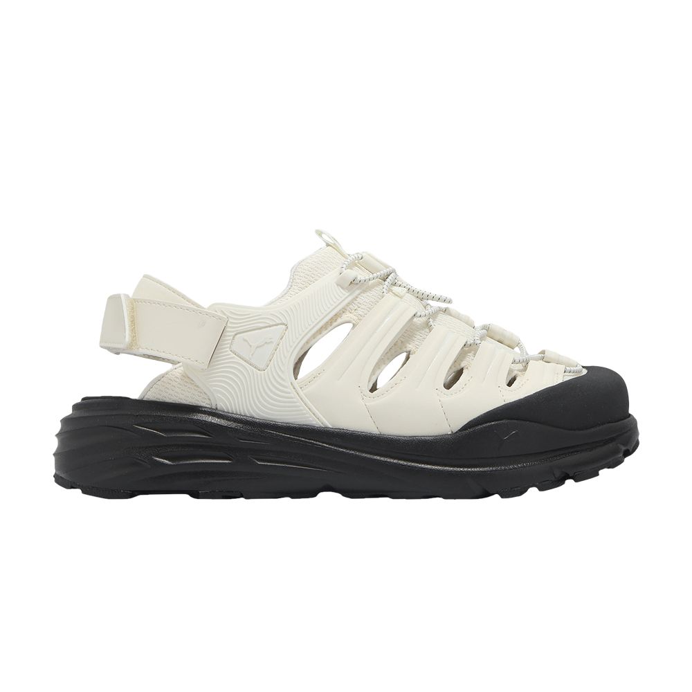 Puma Hypnotic Ventra 'Frosted Ivory' | Cream | Men's Size 7 - 404381-02