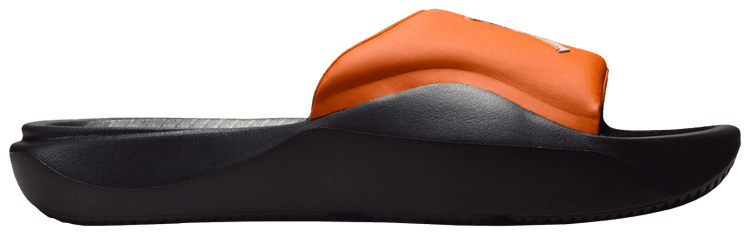 Air Jordan Franchise Slide Starfish