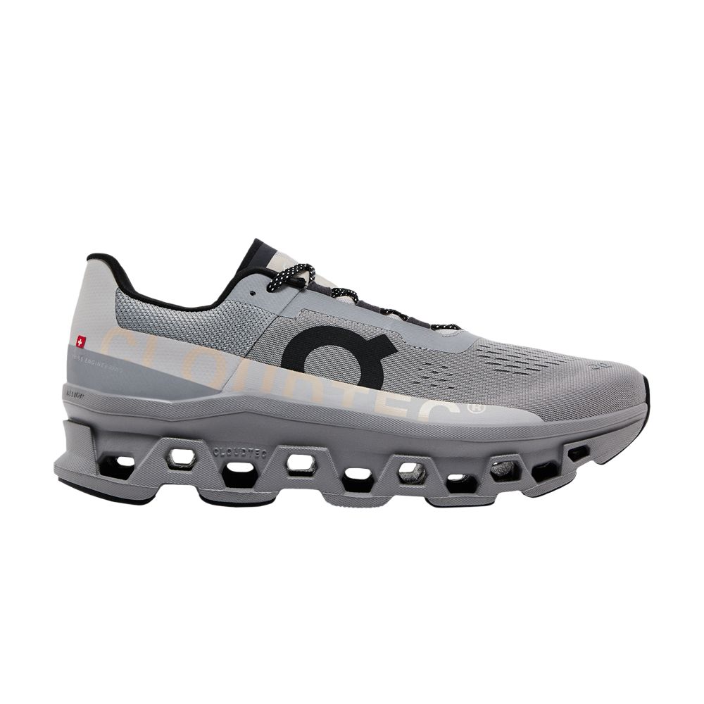 Pre-owned On Cloudmster 'alloy Silver' | Grey | Men's Size 9.5 In Gray