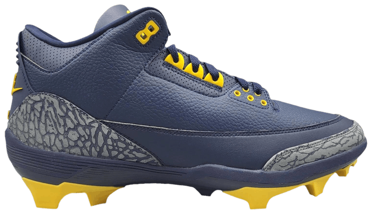 Air Jordan 3 Force Savage Michigan PE