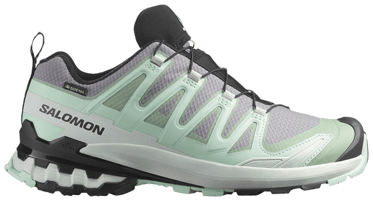 Salomon Wmns XA Pro 3D V9 GORE TEX Quiet Shade