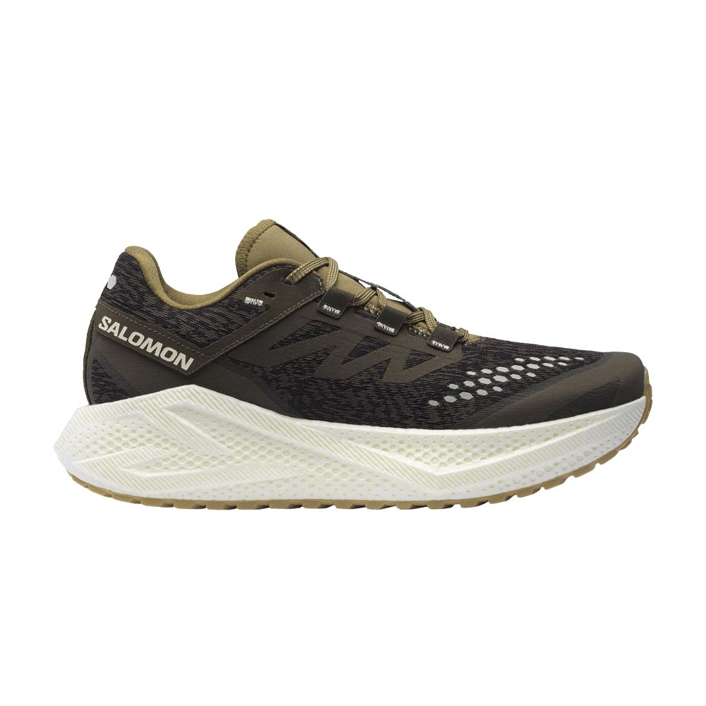 Salomon Aero Glide 3 GRVL 'Wren Coyote Brown' | Men's Size 9 - L47869700