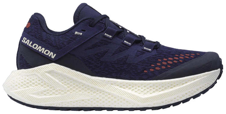 Salomon Wmns Aero Glide 3 GRVL Astral Aura