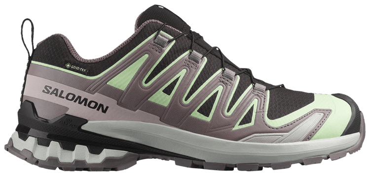Salomon Wmns XA Pro 3D V9 GORE TEX Black Grey Violet