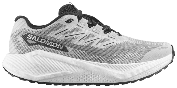 Salomon Aero Blaze 3 GRVL Lunar Rock