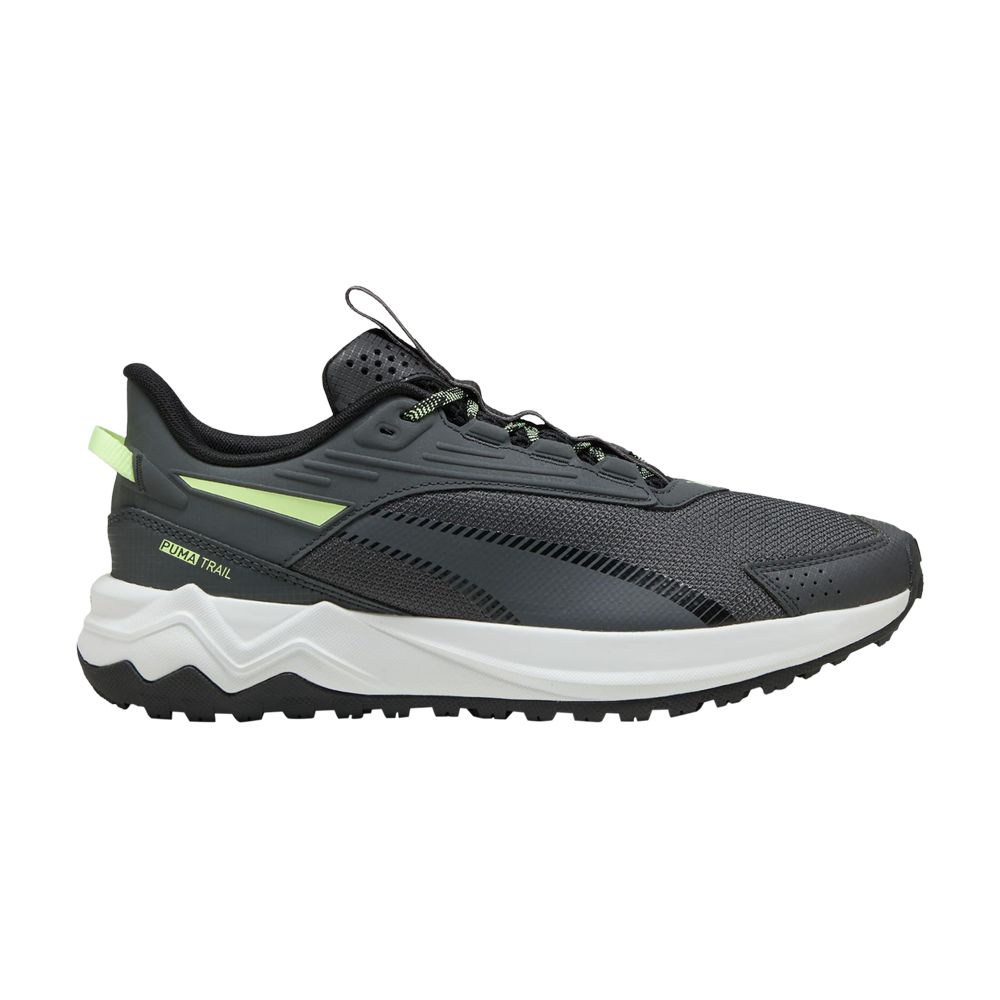 Puma Extend Lite Trail 'Dusky Grey' | Men's Size 11 - 379538-26