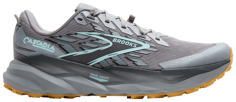 Brooks Cascadia 19 Alloy