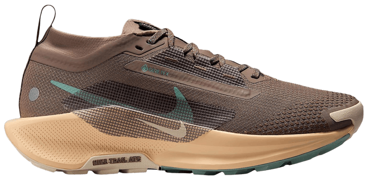 Nike Wmns Pegasus Trail 5 GORE TEX Mink Brown Orange Chalk