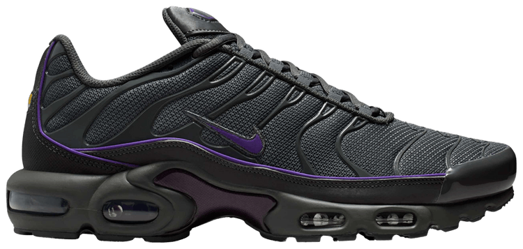 Nike Air Max Plus Iron Grey Wild Grape