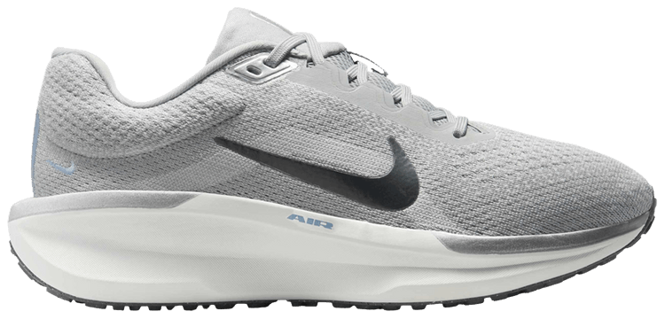 Nike Wmns Air Winflo 11 Light Smoke Metallic Pewter