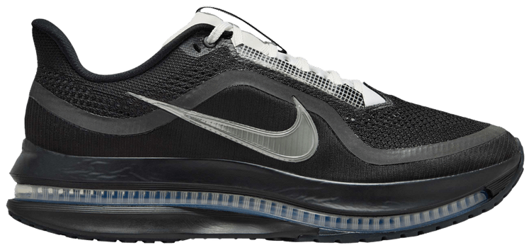 Nike Pegasus Premium SP Black Metallic Silver