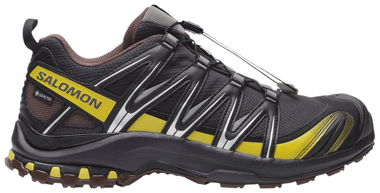 Salomon XA Pro 3D GORE TEX Cress Green French Roast