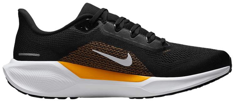 NFL x Nike Air Zoom Pegasus 41 Pittsburgh Steelers