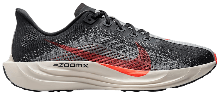 Nike Pegasus Plus Anthracite Bright Crimson