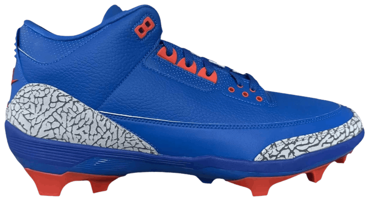 Nike Jordan 3 Force Savage Florida Gators PE