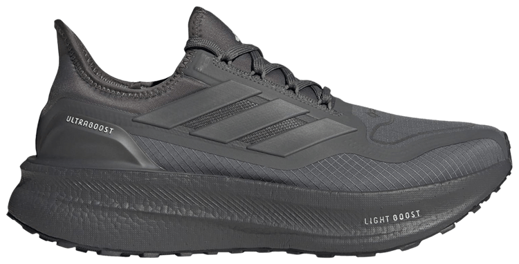 Adidas Ultraboost 5 GORE TEX Grey Wonder Silver
