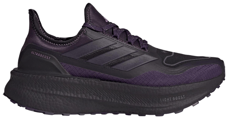 Adidas WMNS ULTRABOOST 5 GTX Aurora Black