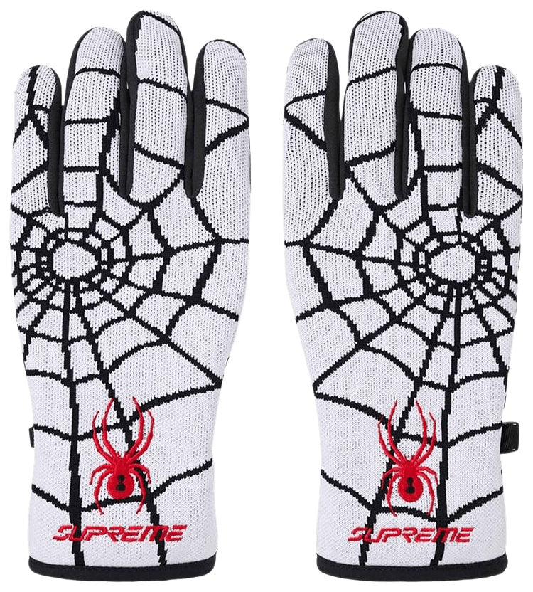 Supreme x Spyder | GOAT