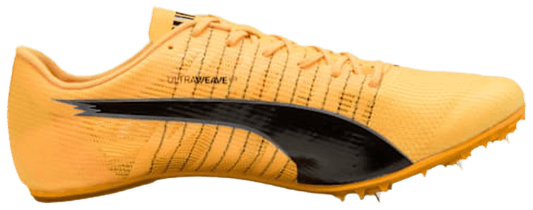 Puma evoSPEED Future 6 Sun Stream Pure Magenta