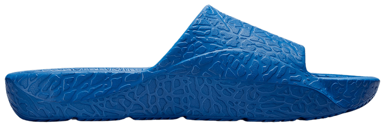 Air Jordan Franchise Shower Slide True Blue