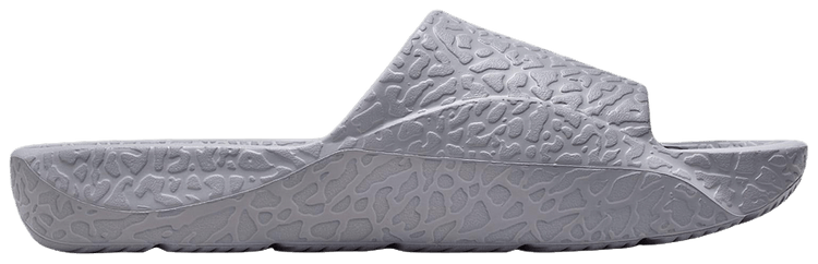 Air Jordan Franchise Shower Slide Cement Grey