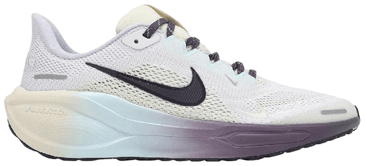 Nike Air Zoom Pegasus 41 GS White Dark Raisin Multi Color